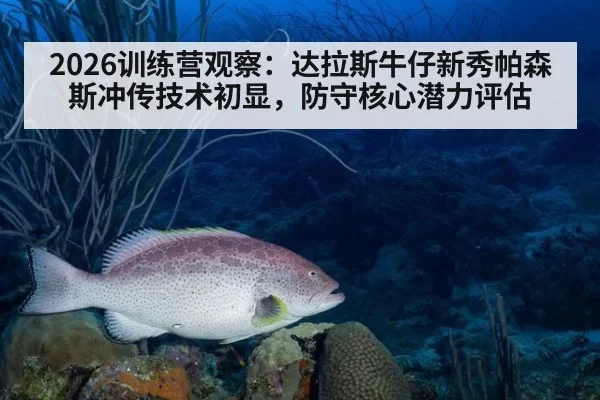 2026训练营观察：达拉斯牛仔新秀帕森斯冲传技术初显，防守核心潜力评估（ayx）
