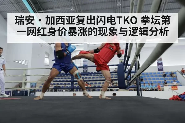 瑞安·加西亚复出闪电TKO 拳坛第一网红身价暴涨的现象与逻辑分析
