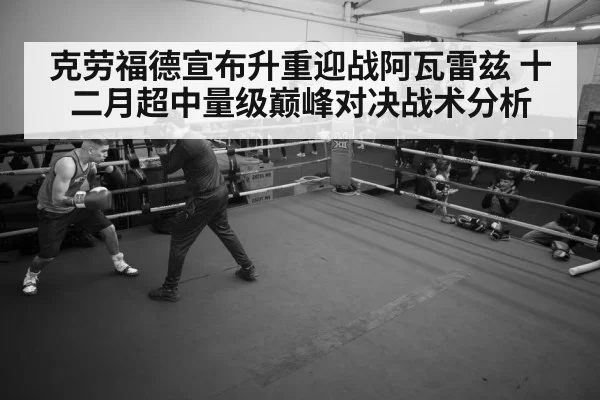 boxer training gym