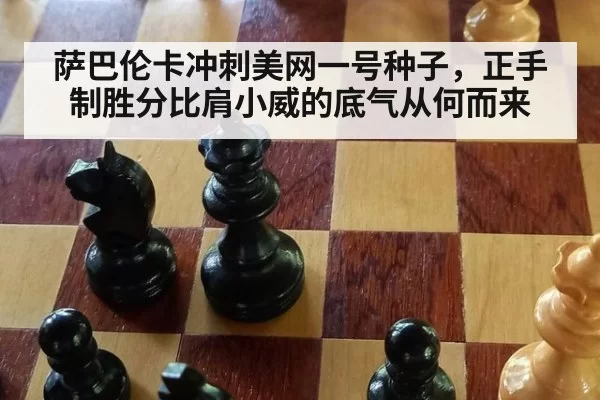 萨巴伦卡冲刺美网一号种子，正手制胜分比肩小威的底气从何而来（ayx）
